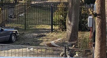 Фото номера Апартаменты с видом на море Апартаменты на Володарского 28А г. Зеленоградск 10